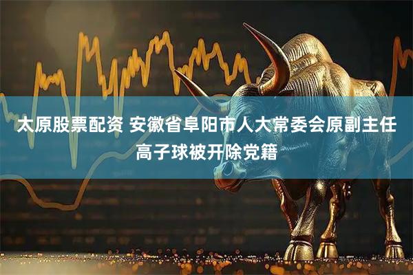太原股票配资 安徽省阜阳市人大常委会原副主任高子球被开除党籍