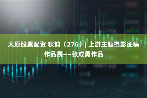 太原股票配资 秋韵（276）| 上游主题摄影征稿作品展——张成勇作品