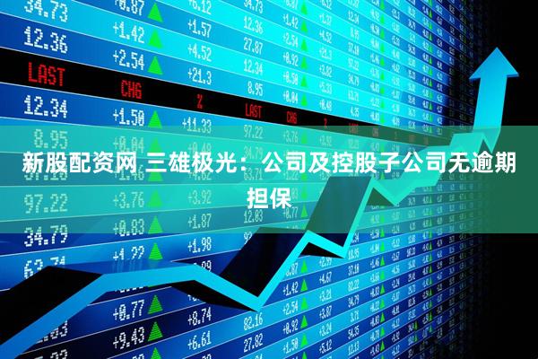 新股配资网 三雄极光：公司及控股子公司无逾期担保