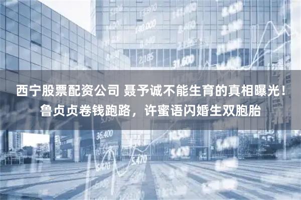 西宁股票配资公司 聂予诚不能生育的真相曝光！鲁贞贞卷钱跑路，许蜜语闪婚生双胞胎